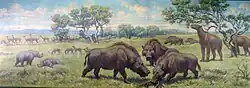 Miocene Plains Mammals