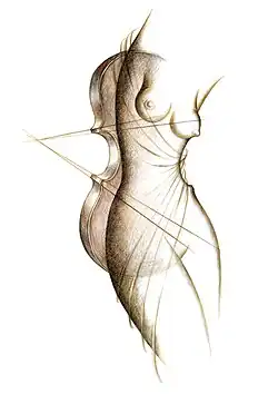 Nude female torso superimposed on a violin