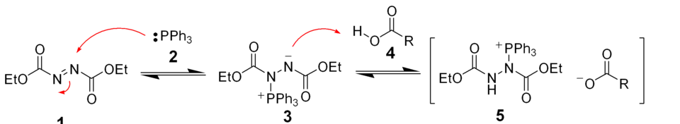 The initial stages of the mechanism proposed for the Mitsunobu reaction.