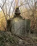 Mittermayer-Horváth mill, the remains of the turbine, Zalakoppány, 2011