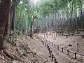 Moat of Ninomaru base