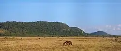 Mogotes, Northern Matanzas Province, near the city of Cárdenas, Cuba