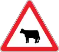 Domesticated animals