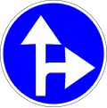 Go straight or turn right