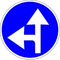 Go straight or turn left