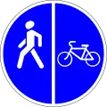 Segregated pedestrian and bicycle path