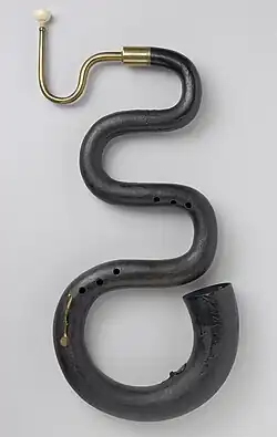 Photograph of a serpent