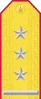 Mongolia (хурандаа)