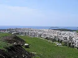 Walls of Monkodonja