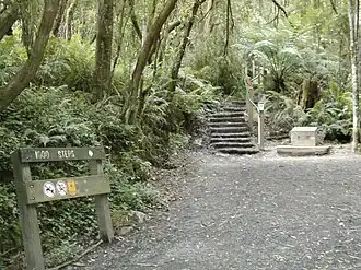 The 1000 Steps Kokoda track