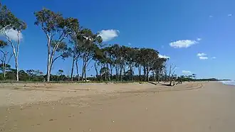 Moore Park Beach