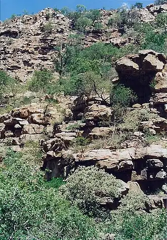 The hills provide one of Botswana's two breeding sites for the endangered Cape vulture