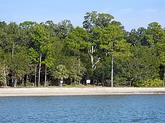 A small stony beach in front of a backdrop of lush, green vegetation–mostly pine and palm trees. Two large white signs warn people to stay away and not interact with the animals.
