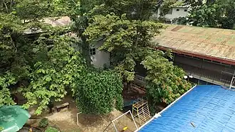Top view