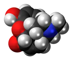 Space-filling model