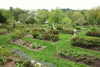 Rose garden.