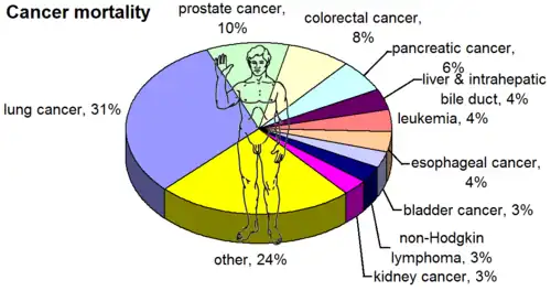 In US males, by mortality, 2008[22]