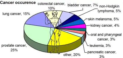 The most common cancers in US males, by occurrence, 2008[22]