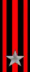 13th Command and Tactical Supports Unit "Pinerolo"
