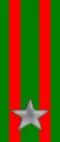 21st, 22nd, 321st Regiment "Cremona"