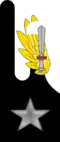 9th Paratroopers Assault Regiment "Col Moschin"