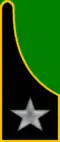 Mountain artillery