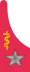Medical officer