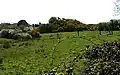 Motte north of St Ishmaels