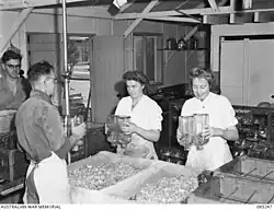 Technicians tip the contents of mould flasks into troughs with a gauze cover. Here the bottles are not cylindrical but flat oblongs with rounded edges and the spout is in the middle of one of the short sides, more like a conventional flat bottle.