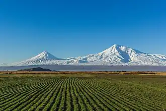 Ararat (Ağrı Dağı)