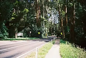 Mount Dandenong tourist road running through Mount Dandenong