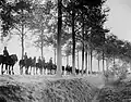 'Belgica' avenue near Ypres, 1917