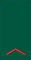 Primeiro soldado (Mozambican Army)