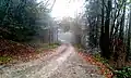 Gravel road near Mrzla Vodica