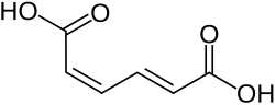 Skeletal formula of cis,trans-muconic acid