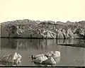Photograph of Muir Glacier by Frank La Roche, c. 1897