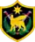 Multi-National Force Iraq