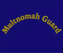 Digital reconstruction of Multnomah Guard Battalion flag, 1918[28]