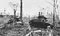 Light tanks supporting infantry action near Bibilo Hill. Munda, New Georgia, August 1943.