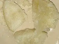 Murabba made from wax gourd