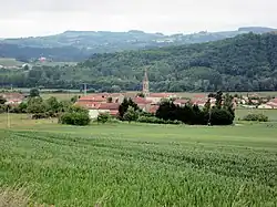 A general view of Mureils