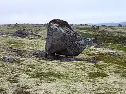 Siedi near Tumanny