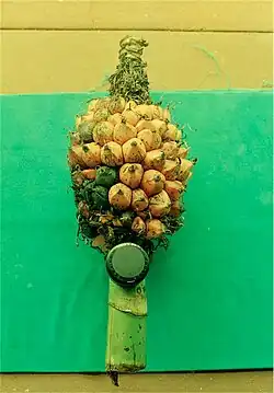 Maturing fruit