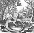 Winged fore-legged Lindworm in Musaeum Hermeticum (1678)