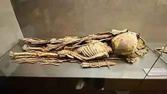 A mummified Guanche child
