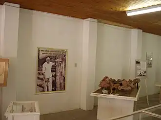 Museum Daniel Cargnin