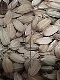 Paddy (unhulled rice)