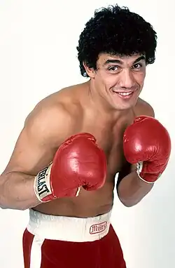Mustafa Hamsho, 1981