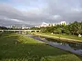 Mutha river bank