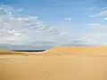 Sand dunes at Myall Lakes National Park